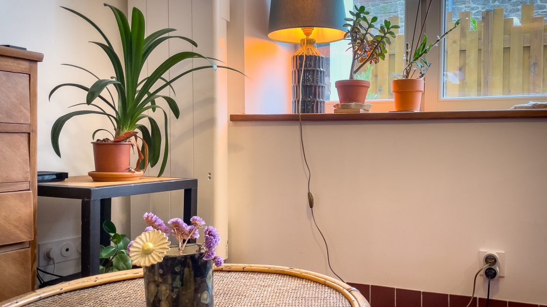 Salon avec plantes et lampe