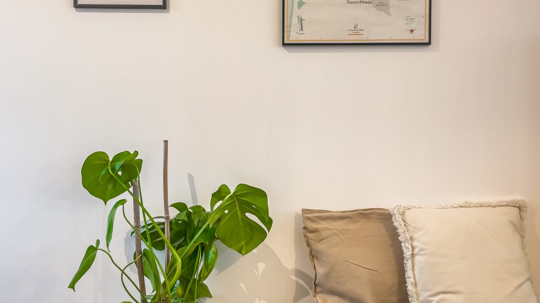 Coin cosy avec lit, plantes et décoration